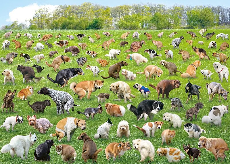 ๐ฅ Hot Sale 20% off ๐- 101 Pooping Puppies 1000-Piece Jigsaw Puzzle ๐งฉ