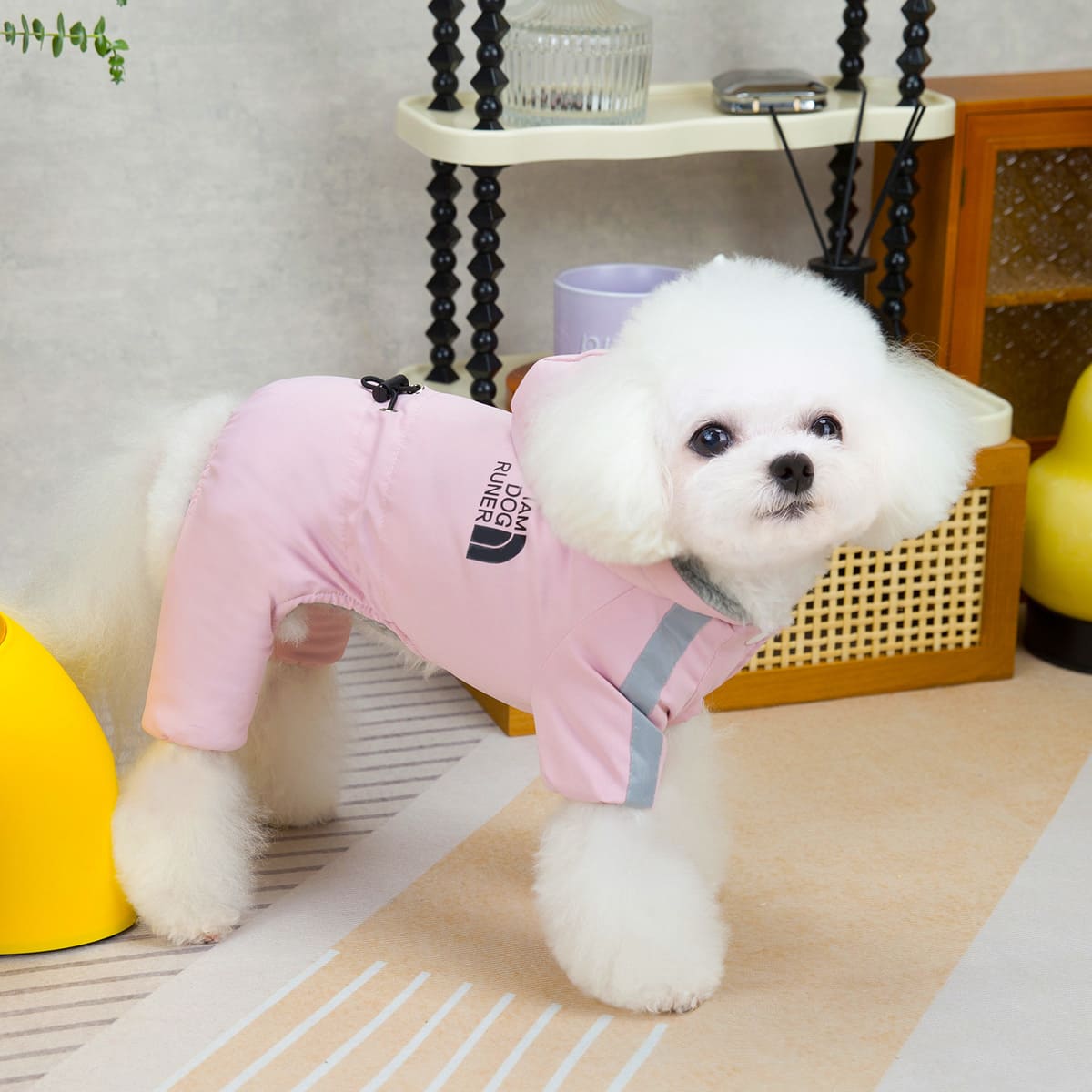 🔥 Limited time special 💝- Cozy Waterproof Winter Coat for Small Dogs
