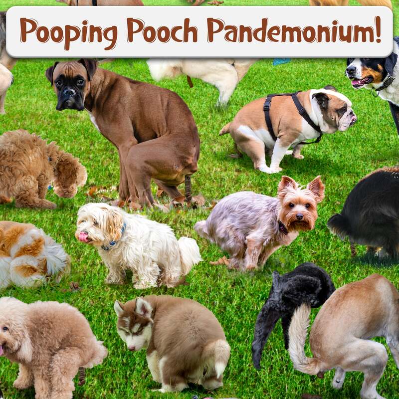 ๐ฅ Hot Sale 20% off ๐- 101 Pooping Puppies 1000-Piece Jigsaw Puzzle ๐งฉ