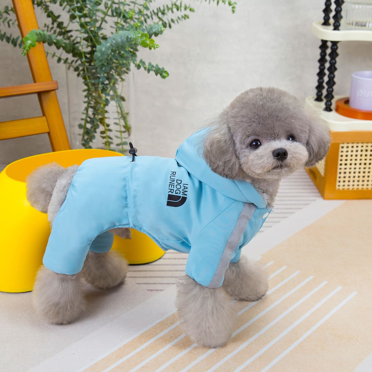 🔥 Limited time special 💝- Cozy Waterproof Winter Coat for Small Dogs