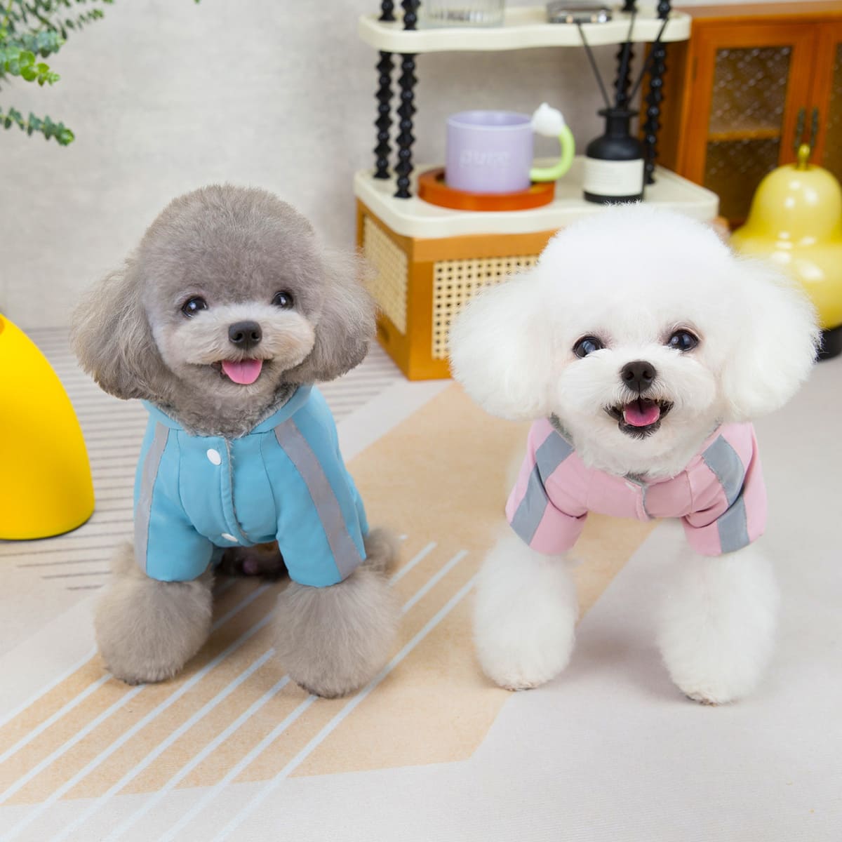 🔥 Limited time special 💝- Cozy Waterproof Winter Coat for Small Dogs