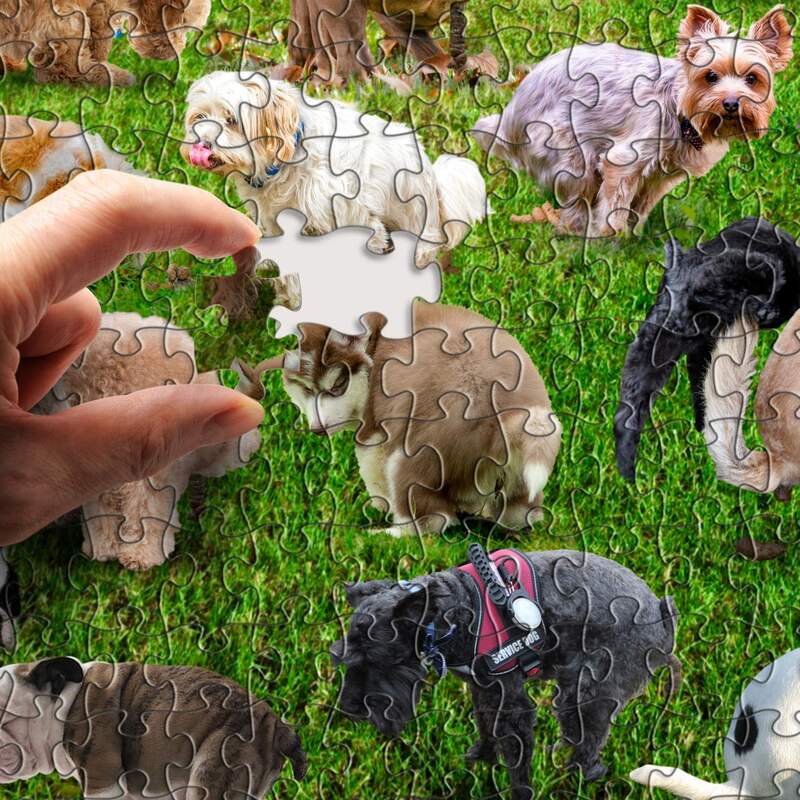 ๐ฅ Hot Sale 20% off ๐- 101 Pooping Puppies 1000-Piece Jigsaw Puzzle ๐งฉ