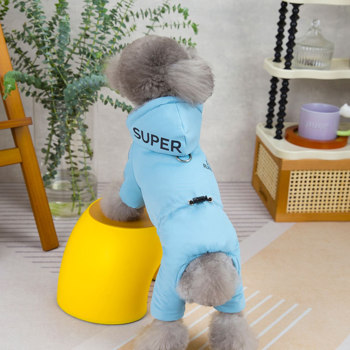 🔥 Limited time special 💝- Cozy Waterproof Winter Coat for Small Dogs
