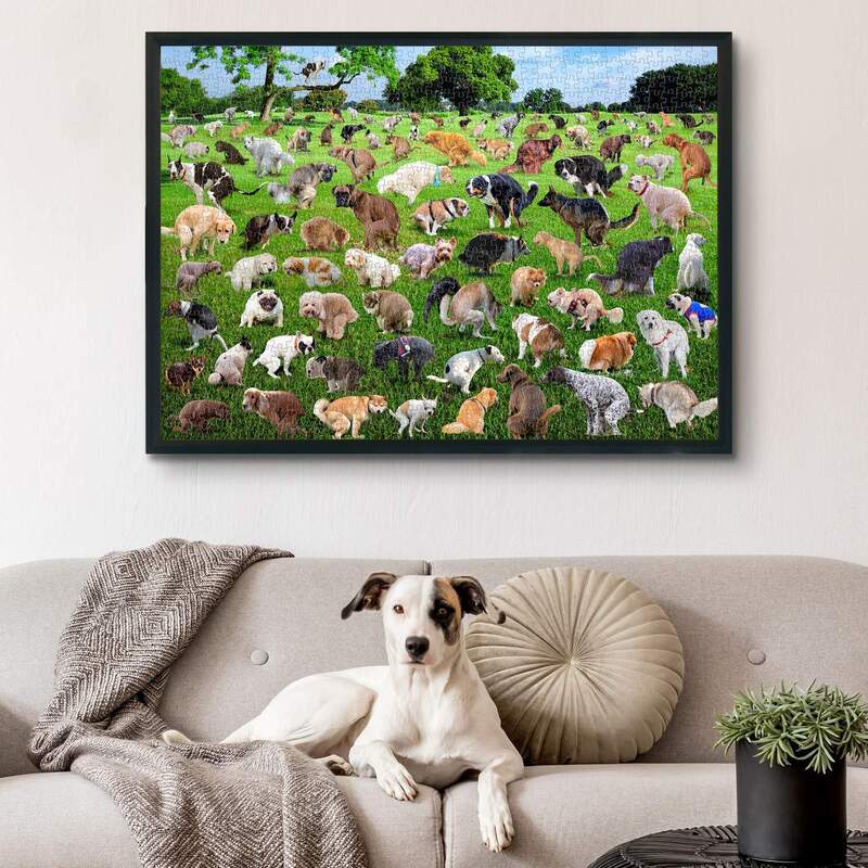 ๐ฅ Hot Sale 20% off ๐- 101 Pooping Puppies 1000-Piece Jigsaw Puzzle ๐งฉ