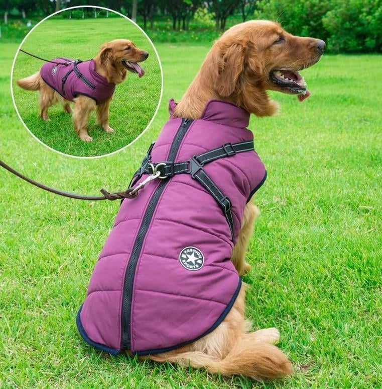 🐾 Waterproof Dog Coat for Winter – Cozy & Stylish Coat for Dogs & Cats ❄️