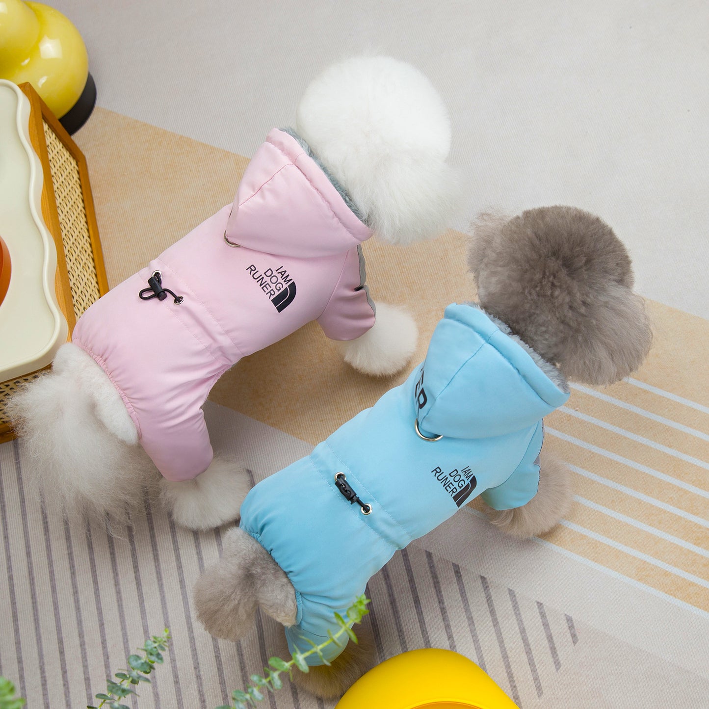🔥 Limited time special 💝- Cozy Waterproof Winter Coat for Small Dogs
