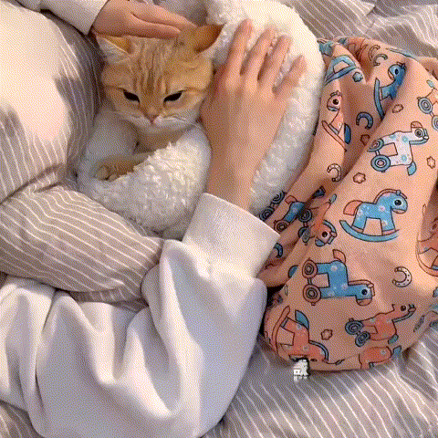 🔥🔥🔥Black Friday 30%off -Winter Cat Sleeping Bag