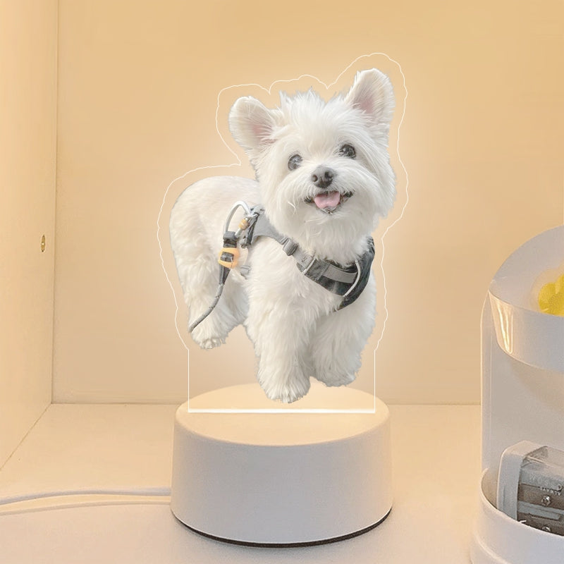 Customized Pet Memorial Night Light - Personalized Pet Portrait Gifts