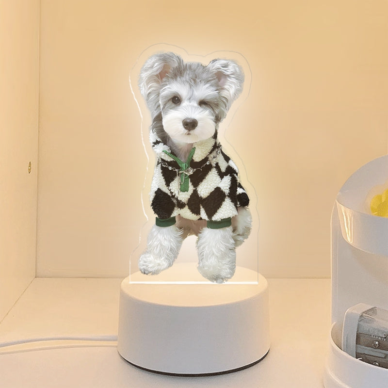 Customized Pet Memorial Night Light - Personalized Pet Portrait Gifts