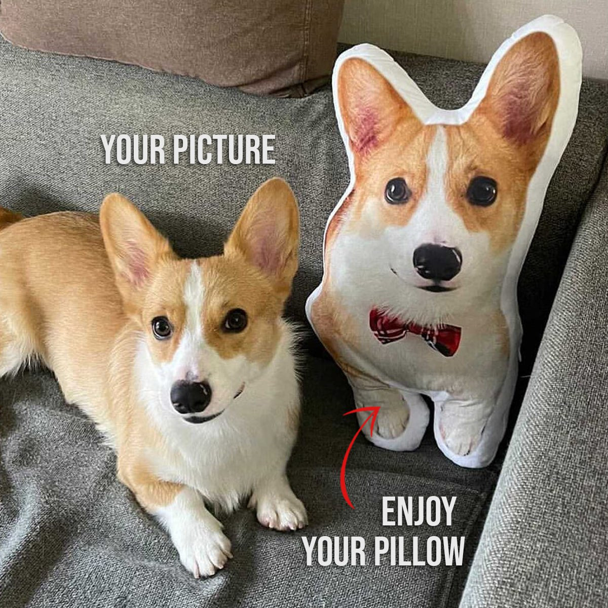 Custom 3D Pet Pillow from Photo | Personalized Dog/Cat Shaped Throw Pillow | Custom Pet Pillow Gift