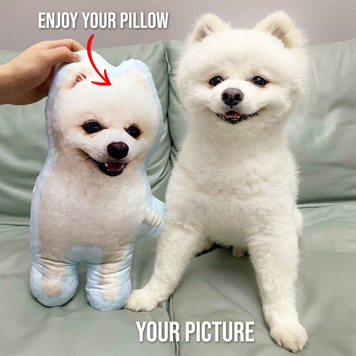 Custom 3D Pet Pillow from Photo | Personalized Dog/Cat Shaped Throw Pillow | Custom Pet Pillow Gift