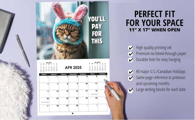 🔥 Hot Sale ✨😾 2025 Peed-Off Cats Calendar - Funny Cat Themed Gifts For Cat Lovers