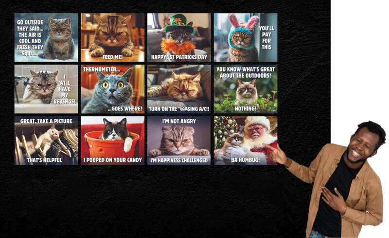 🔥 Hot Sale ✨😾 2025 Peed-Off Cats Calendar - Funny Cat Themed Gifts For Cat Lovers