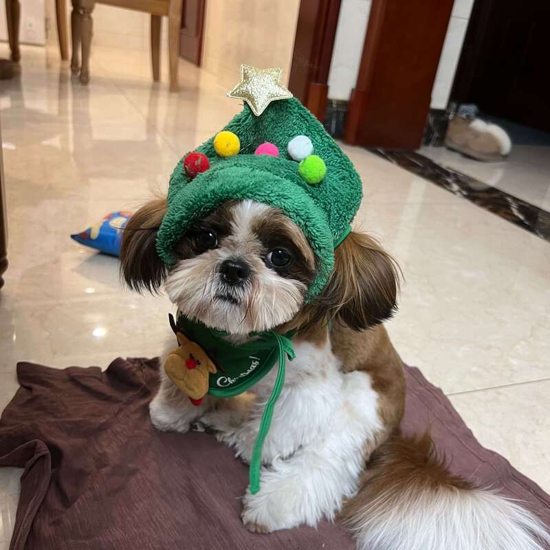 🎅Christmas Sale 30% Off - Adorable Christmas Tree Pom-Pom Hat with Reindeer Bib