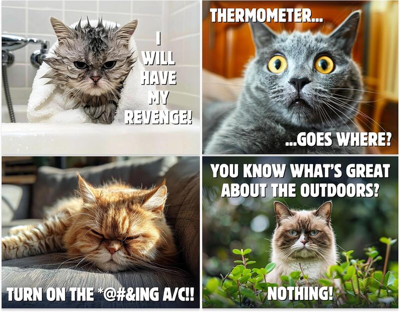 🔥 Hot Sale ✨😾 2025 Peed-Off Cats Calendar - Funny Cat Themed Gifts For Cat Lovers