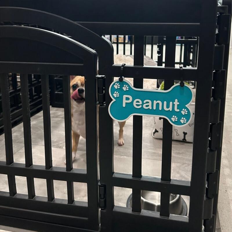 Custom Dog Bone Nameplate - Personalized Crate Sign & Gift for Pet Lovers