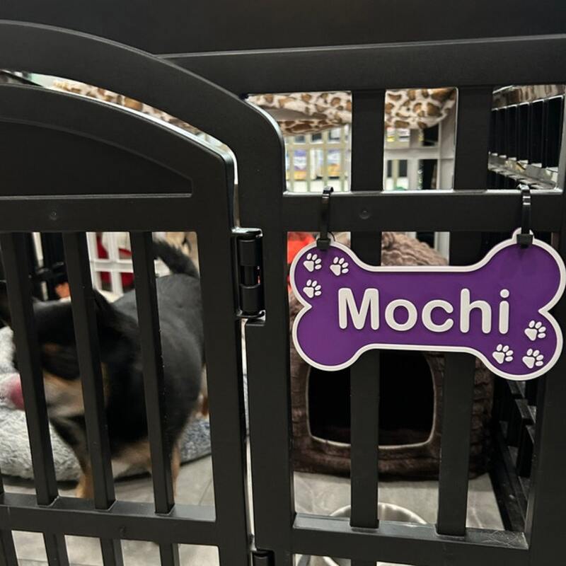 Custom Dog Bone Nameplate - Personalized Crate Sign & Gift for Pet Lovers
