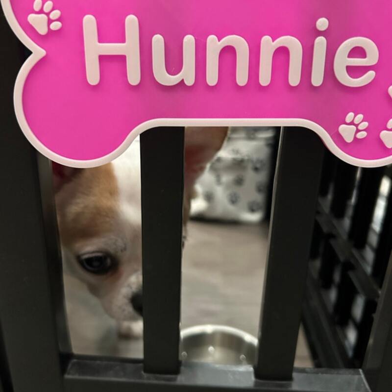 Custom Dog Bone Nameplate - Personalized Crate Sign & Gift for Pet Lovers
