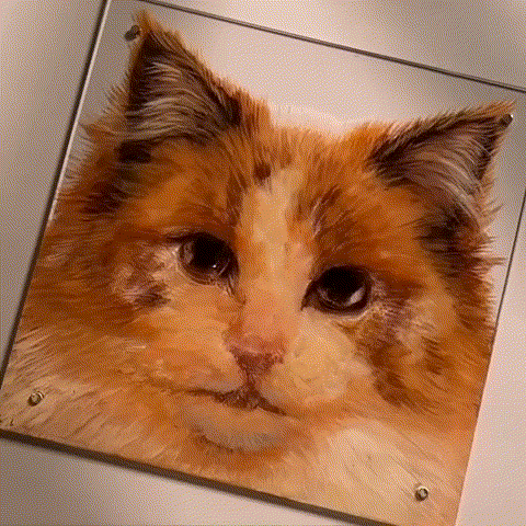💝 Hot Sale - Custom 3D Pet Portrait: A Lifelike Masterpiece