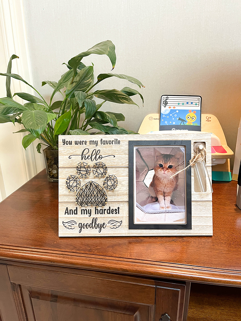 Purpurkitty|Wooden Pet Memorial Picture Frame with Bottle - Dog Photo Frame for Keepsakes