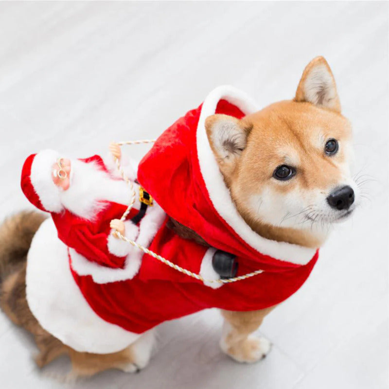 🎄 Christmas Clothes for Dogs and Cats 🐾 - Festive Outfits for Pets of All Sizes 🎅