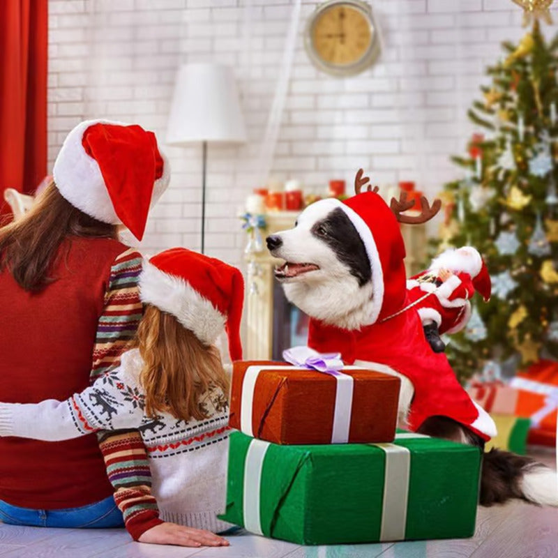 🎄 Christmas Clothes for Dogs and Cats 🐾 - Festive Outfits for Pets of All Sizes 🎅