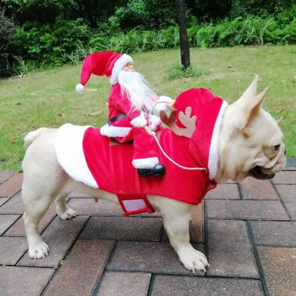 🎄 Christmas Clothes for Dogs and Cats 🐾 - Festive Outfits for Pets of All Sizes 🎅