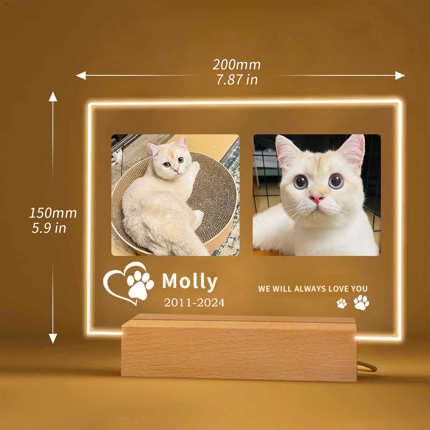 Custom Pet Memorial Night Light - Personalized Acrylic Paw Print Photo Frame, Perfect Pet Loss Gift and Dog Memorial Gift