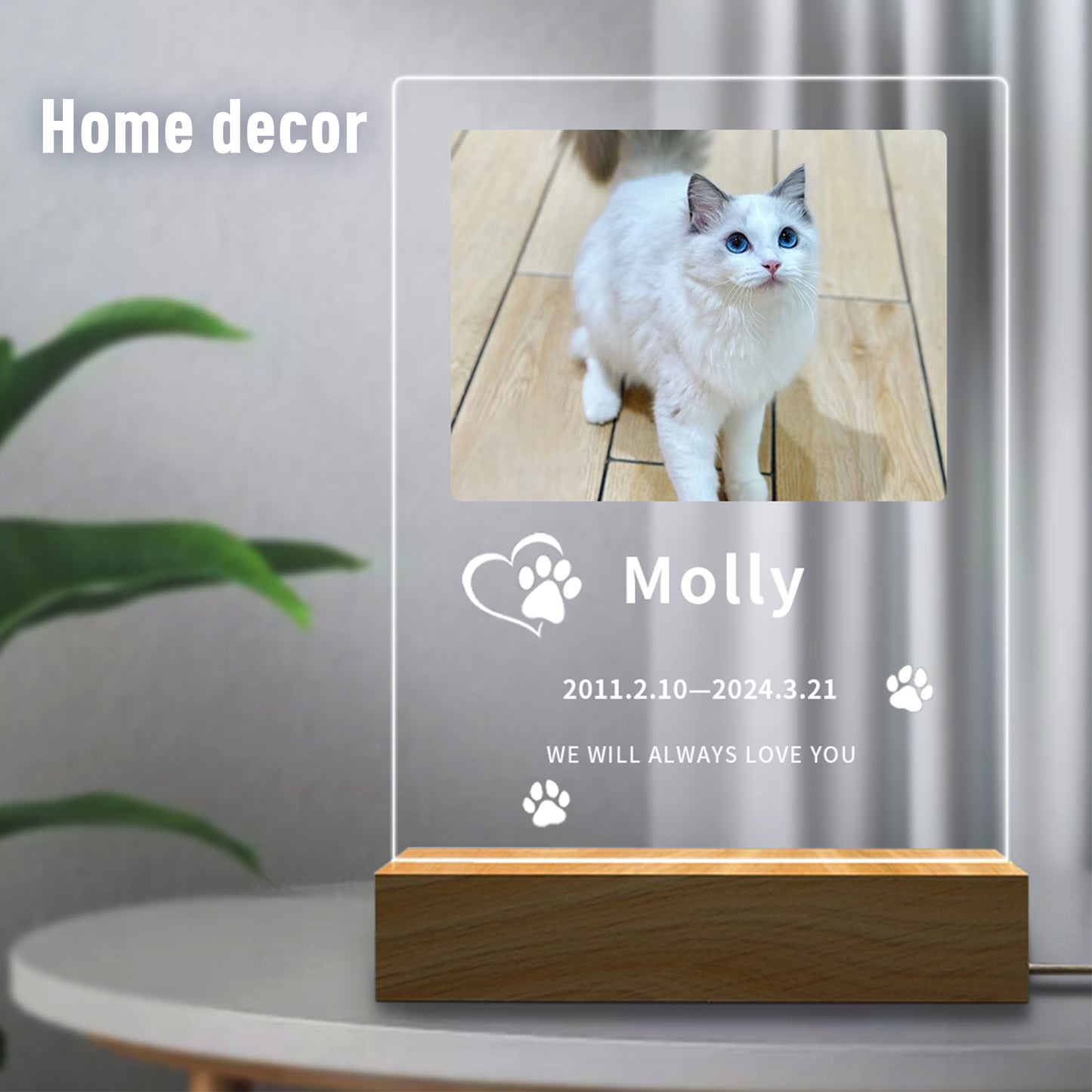 Custom Pet Memorial Night Light - Personalized Acrylic Paw Print Photo Frame, Perfect Pet Loss Gift and Dog Memorial Gift
