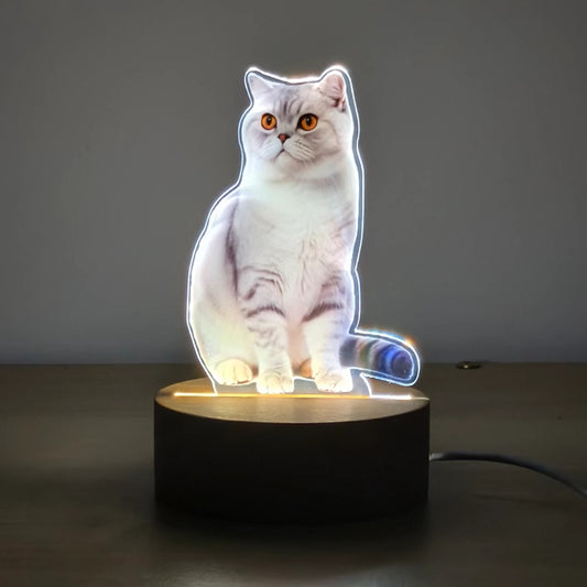 Customized Pet Night Light - Personalized Pet Memorial and Birthday Gift
