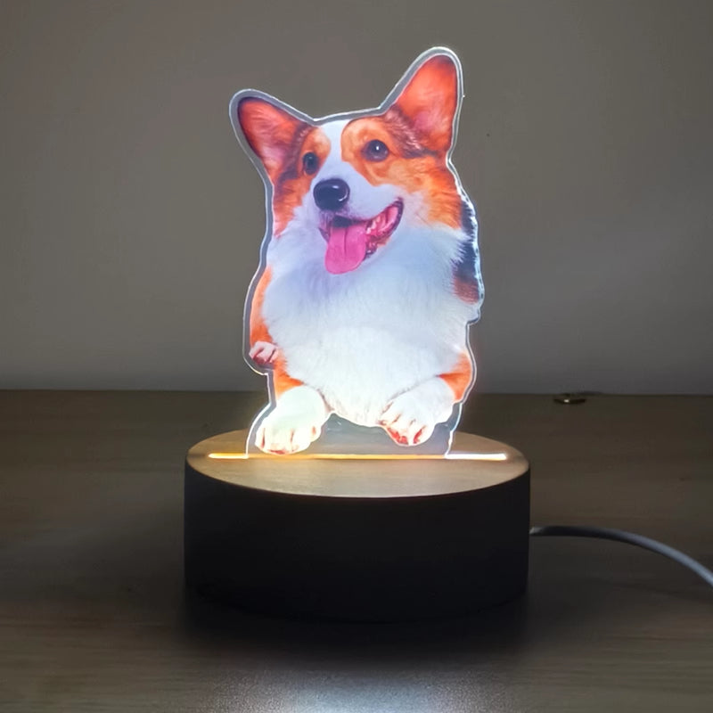 Customized Pet Night Light - Personalized Pet Memorial and Birthday Gift