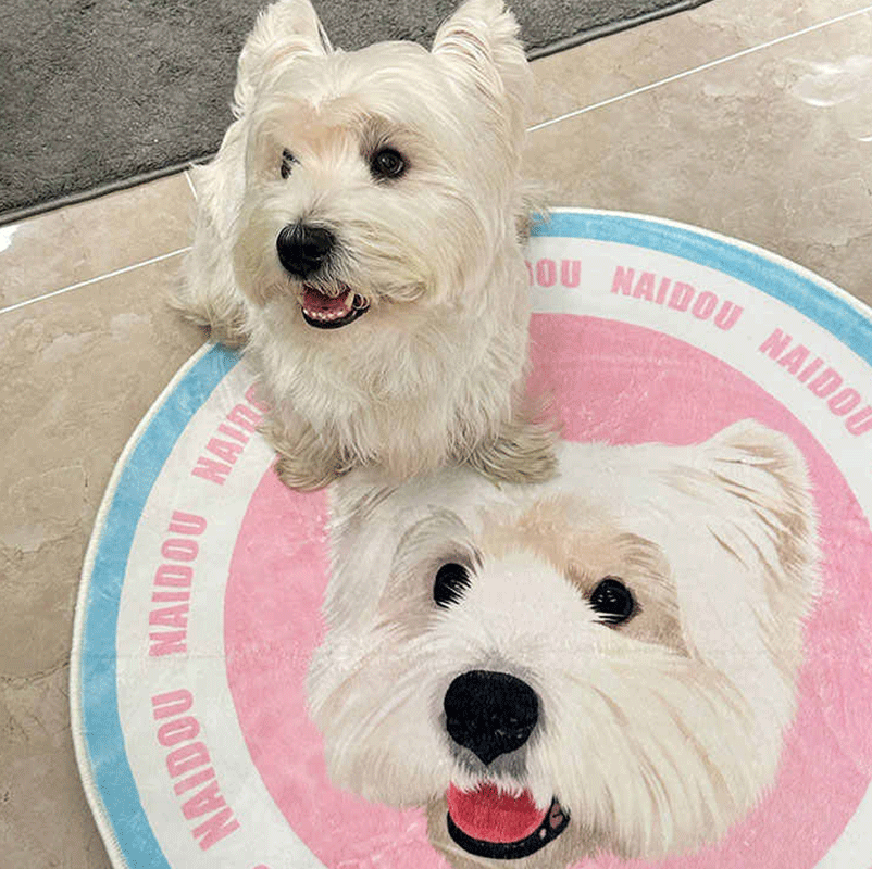 Custom Pet Illustration Rug - Personalized Polyester Pet Memorial Gift