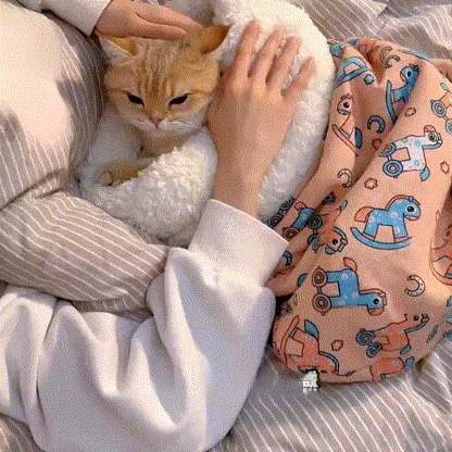 🔥🔥🔥Black Friday 30%off -Winter Cat Sleeping Bag