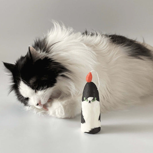 🔥🔥🔥HOTCAT - Custom Cat Candle